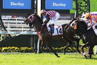 Kaiser Franz (NZ) takes out the Group 3 Premier's Cup at Eagle Farm. Photo: Equine Images